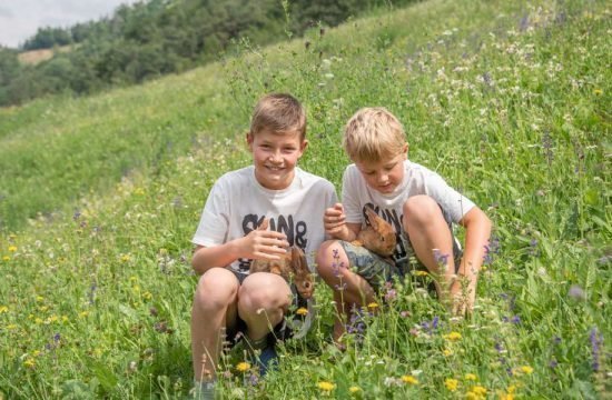 preierhof-tiers-am-rosengarten-suedtirol (29)