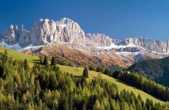 preierhof-tiers-am-rosengarten-suedtirol (47)