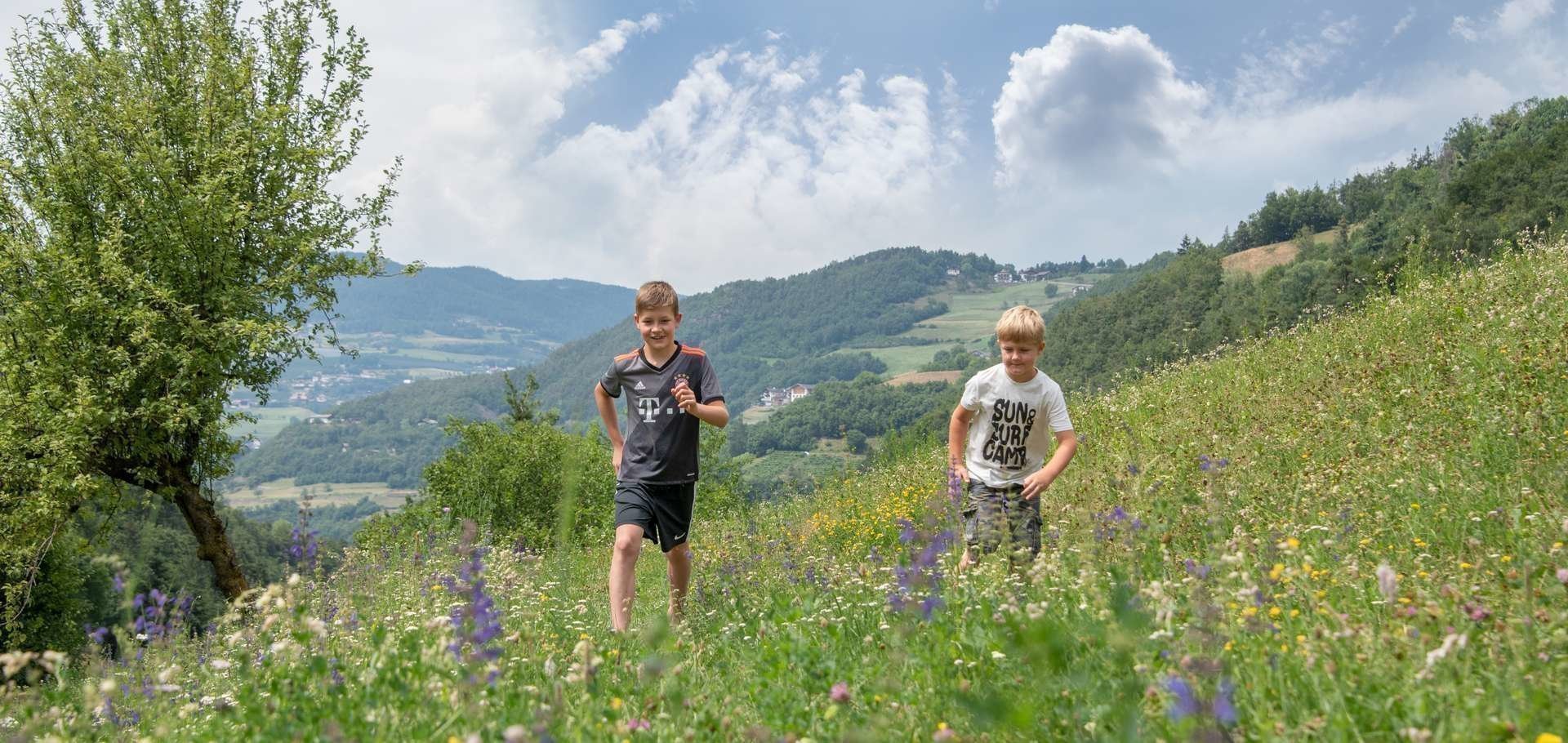 urlaub-in-tiers-rosengarten